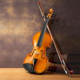 [Do Not Sell on Amazon]Full Size 4/4 Violin Set for Adults Beginners Students with Hard Case,Violin Bow,Shoulder Rest,Rosin,Extra Strings and Sor (Color: as picture)